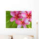 Pink Plumeria Bunch Wall Decal