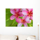Pink Plumeria Bunch Wall Decal
