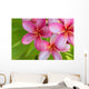 Pink Plumeria Bunch Wall Decal