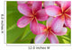 Pink Plumeria Bunch Wall Decal