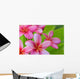 Pink Plumerias Wall Decal