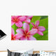 Pink Plumerias Wall Decal