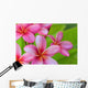 Pink Plumerias Wall Decal