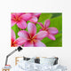 Pink Plumerias Wall Decal