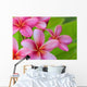 Pink Plumerias Wall Decal