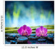 Orchids Stone and Bamboo Wall Decal