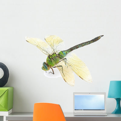 Dragonfly Wall Decal shown on a wall