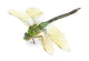 Dragonfly Wall Decal
