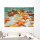 Sea Stars Sandy Ocean Wall Decal