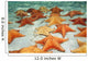 Sea Stars Sandy Ocean Wall Decal