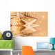 Starfish and Seashells Wall Decal