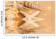 Starfish and Seashells Wall Decal