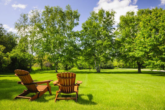 Summer Relaxing Wall Decal