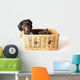 Tiger Dachshund Basket Wall Decal
