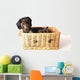 Tiger Dachshund Basket Wall Decal