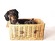 Tiger Dachshund Basket Wall Decal