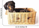 Tiger Dachshund Basket Wall Decal