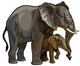 African Elephant with Baby Wall Decal
