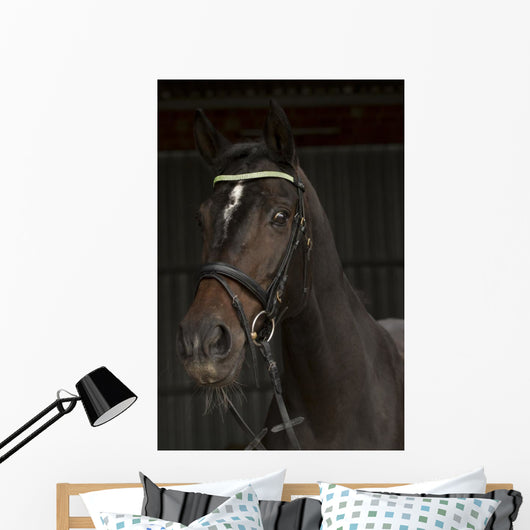 Rappkopf Wall Decal
