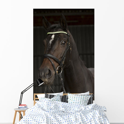 Rappkopf Wall Decal