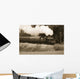 Steam Train Shot Black Wall Decal