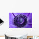 Purple Anemone up Wall Decal