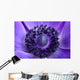 Purple Anemone up Wall Decal