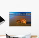 Beautiful Landscapes Shells Beach Wall Decal