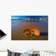 Beautiful Landscapes Shells Beach Wall Decal