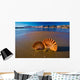 Beautiful Landscapes Shells Beach Wall Decal