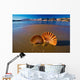 Beautiful Landscapes Shells Beach Wall Decal