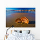 Beautiful Landscapes Shells Beach Wall Decal