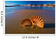Beautiful Landscapes Shells Beach Wall Decal