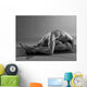 Asana Wall Decal