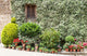 House Tuscany Wall Decal