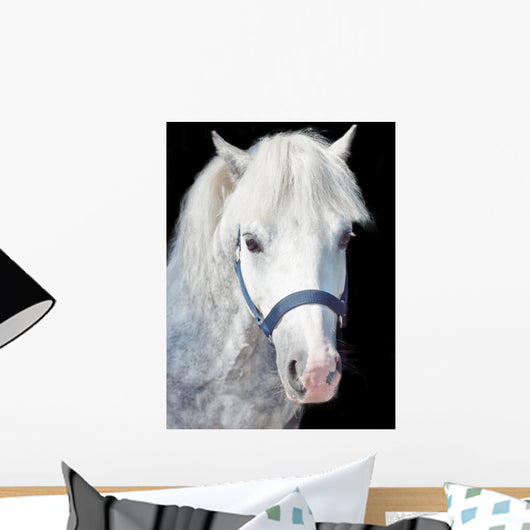 Portrait Gray Welsh Pony Wall Decal