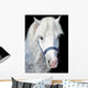 Portrait Gray Welsh Pony Wall Decal