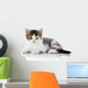 Gray with White Kitten Wall Decal
