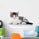 Gray with White Kitten Wall Decal