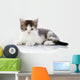 Gray with White Kitten Wall Decal