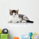 Gray with White Kitten Wall Decal