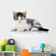 Gray with White Kitten Wall Decal