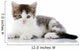 Gray with White Kitten Wall Decal