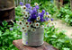 Wild Flowers Wall Decal