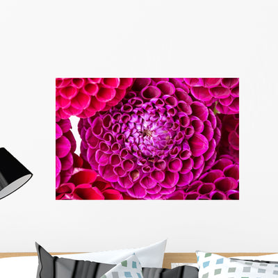 Dahlia Wall Decal shown on a wall