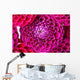 Dahlia Wall Decal