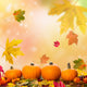 Pumpkins Scenery Wall Decal
