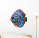Colorful Tropical Discus Fish Wall Decal
