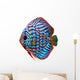 Colorful Tropical Discus Fish Wall Decal