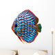 Colorful Tropical Discus Fish Wall Decal